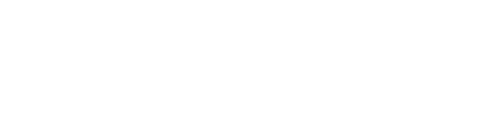 REG-SUB-LOGO